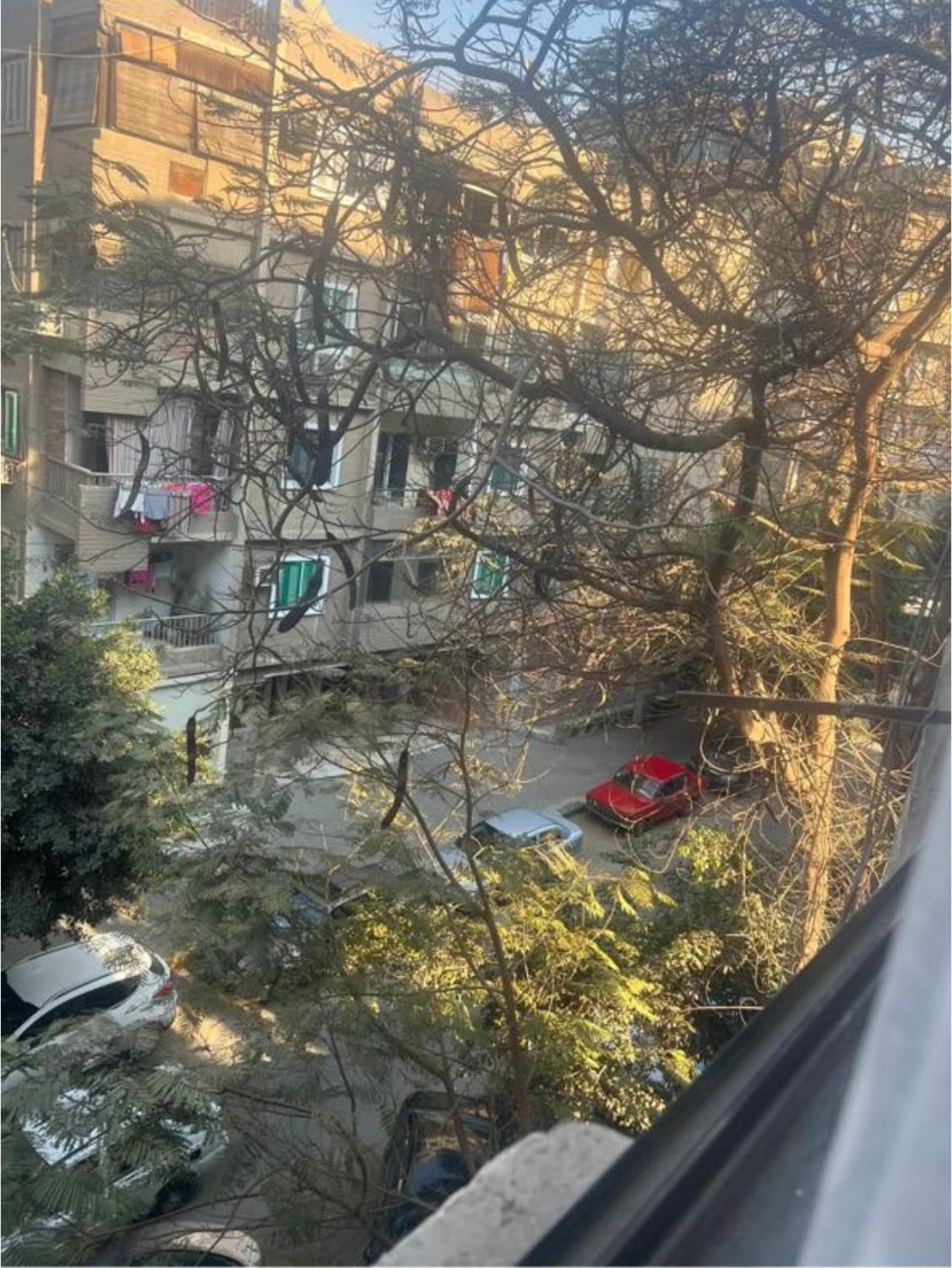 Apartment 54 شارع محمد شاهين العجوزه *
