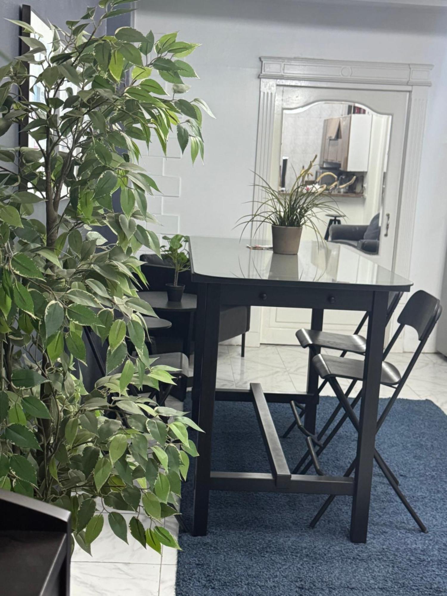 54 شارع محمد شاهين العجوزه Apartment